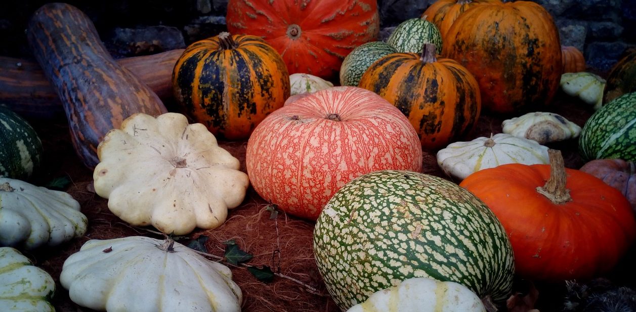 Beneficios y propiedades del zapallo que debes conocer