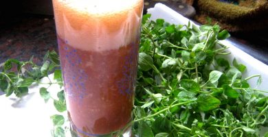un vaso con refrescos de tomate