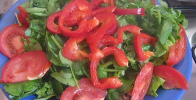 plato con ensalada