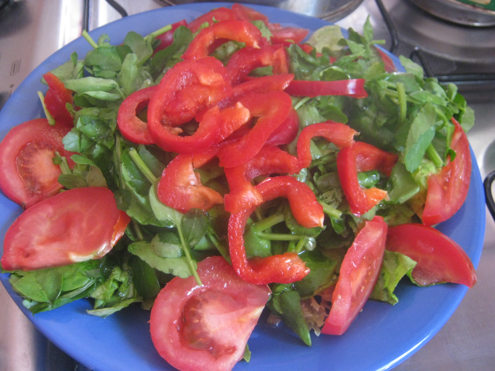 plato con ensalada