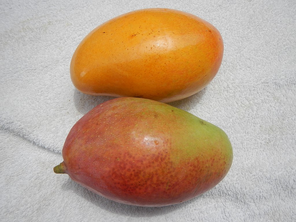 mango