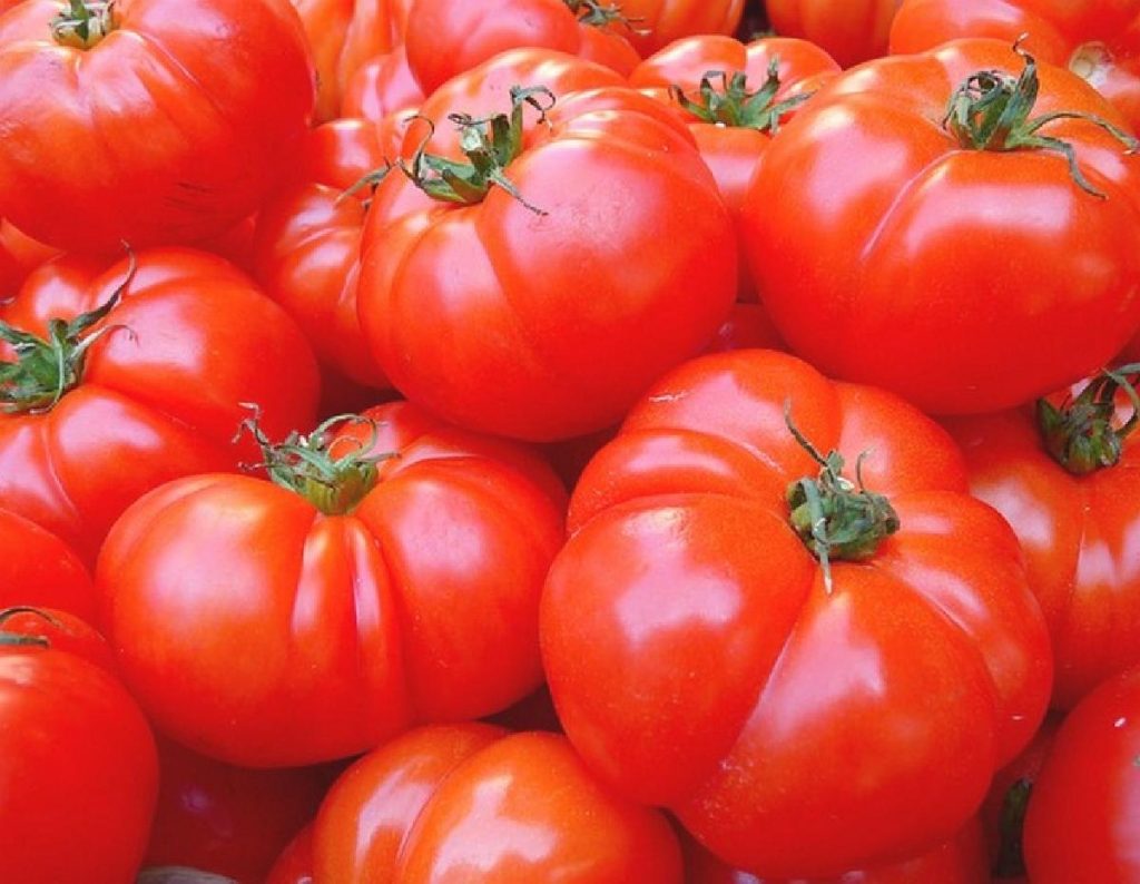 conjunto de tomates