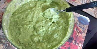 salsa guacamole