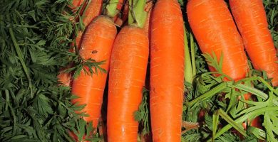 zanahorias
