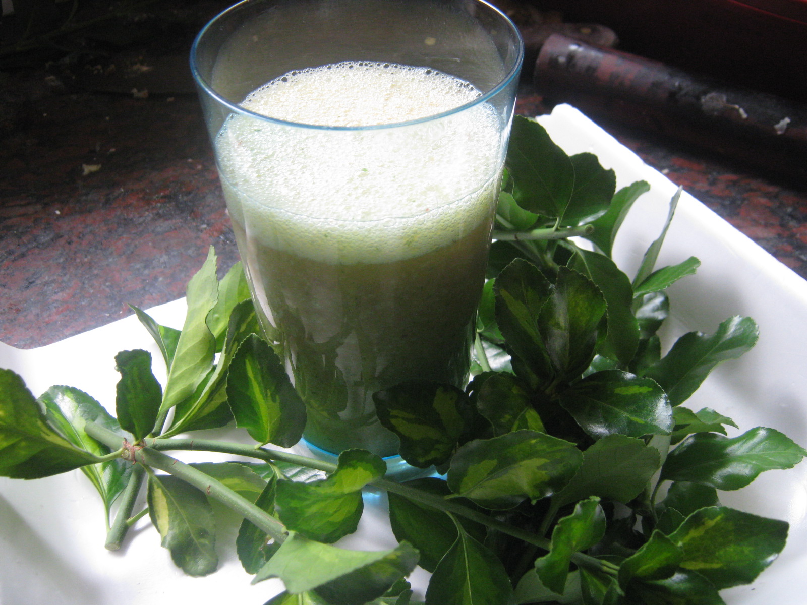 vaso con jugo espinaca