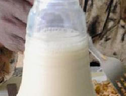 Aprende a elaborar leche de soja