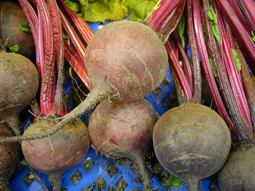 remolacha, raíz con forma de bola, roja, con hojas grandes verdes